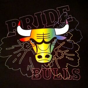 Chicago Bulls Pride T-Shirt